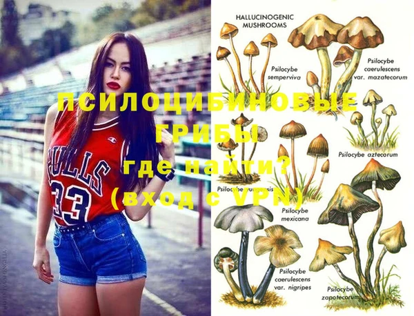 кокаин премиум Каменск-Шахтинский